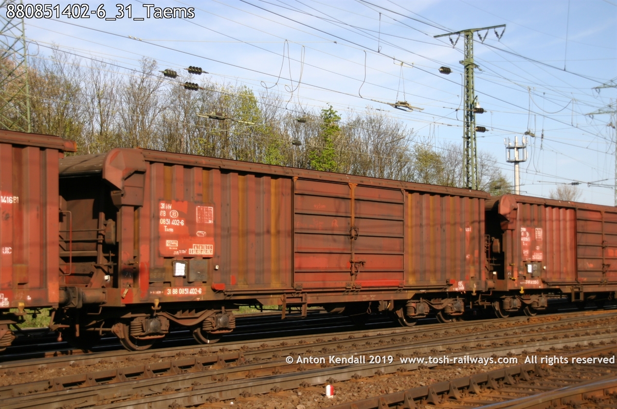 880851402-6_31_Taems.jpg